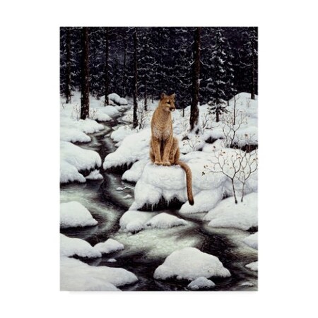 Jeff Tift 'Cougar' Canvas Art,14x19